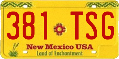 NM license plate 381TSG