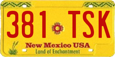 NM license plate 381TSK