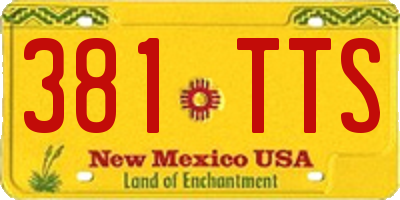 NM license plate 381TTS