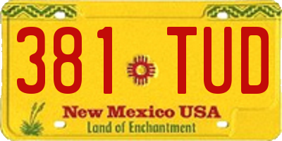 NM license plate 381TUD