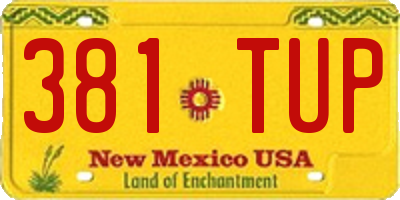 NM license plate 381TUP