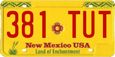 NM license plate 381TUT