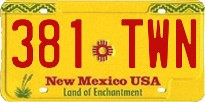 NM license plate 381TWN