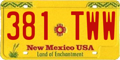 NM license plate 381TWW