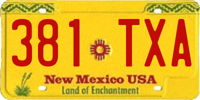 NM license plate 381TXA