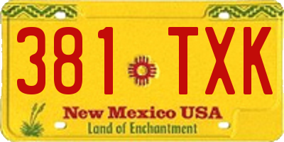 NM license plate 381TXK