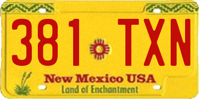 NM license plate 381TXN
