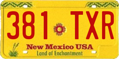 NM license plate 381TXR