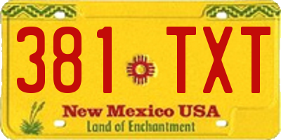 NM license plate 381TXT