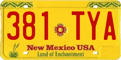 NM license plate 381TYA