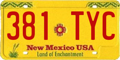 NM license plate 381TYC
