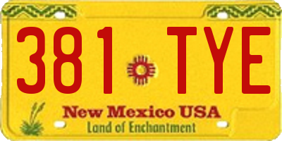 NM license plate 381TYE