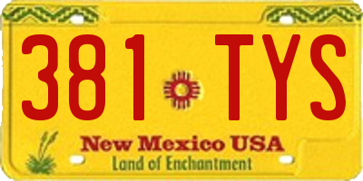 NM license plate 381TYS