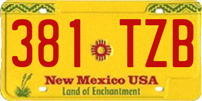NM license plate 381TZB