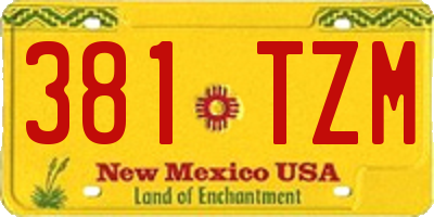 NM license plate 381TZM