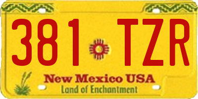 NM license plate 381TZR