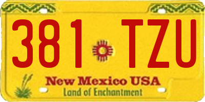 NM license plate 381TZU