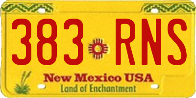 NM license plate 383RNS