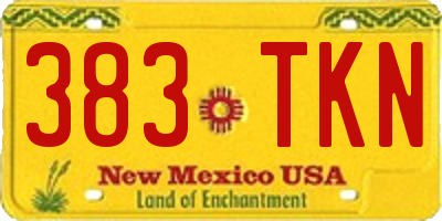 NM license plate 383TKN