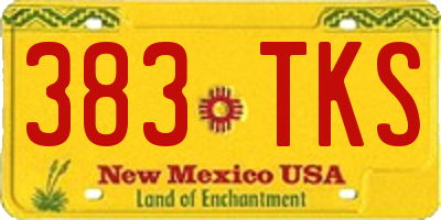 NM license plate 383TKS