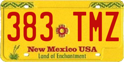 NM license plate 383TMZ