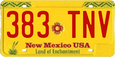 NM license plate 383TNV