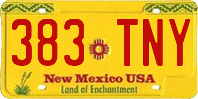 NM license plate 383TNY