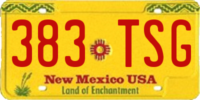 NM license plate 383TSG