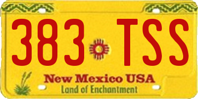 NM license plate 383TSS