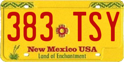 NM license plate 383TSY