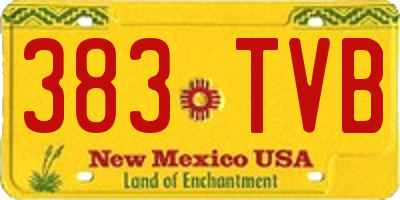 NM license plate 383TVB