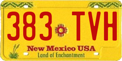 NM license plate 383TVH