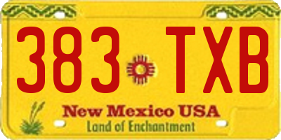 NM license plate 383TXB