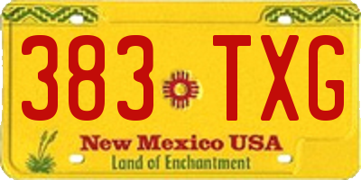 NM license plate 383TXG