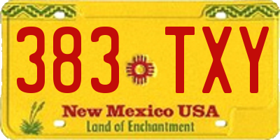 NM license plate 383TXY