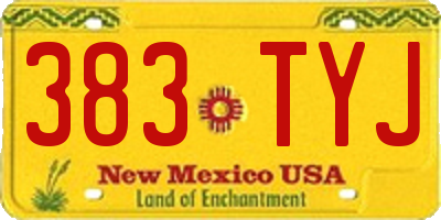 NM license plate 383TYJ