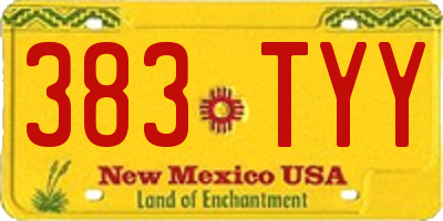 NM license plate 383TYY
