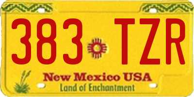 NM license plate 383TZR