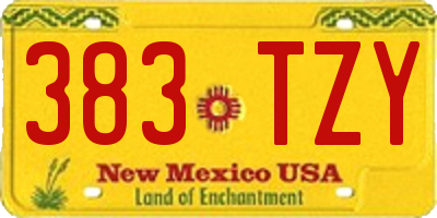 NM license plate 383TZY