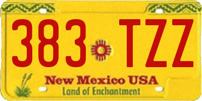 NM license plate 383TZZ