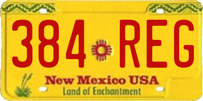 NM license plate 384REG