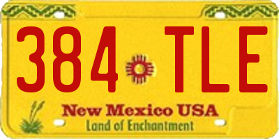 NM license plate 384TLE