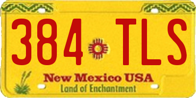 NM license plate 384TLS