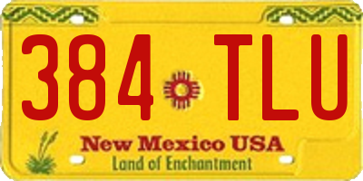 NM license plate 384TLU