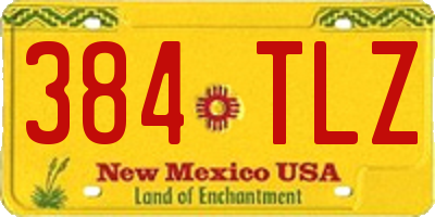 NM license plate 384TLZ