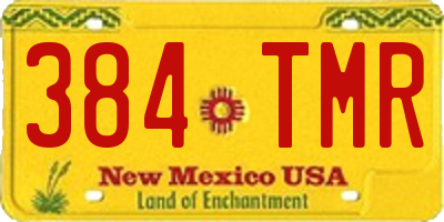 NM license plate 384TMR