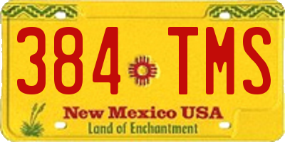 NM license plate 384TMS