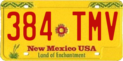 NM license plate 384TMV