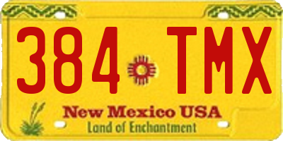 NM license plate 384TMX