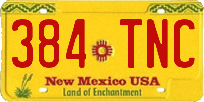 NM license plate 384TNC